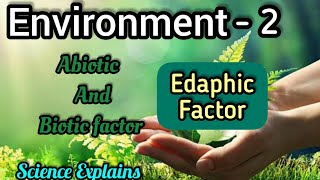 What Is Edaphic Factor   ENVIRONMENT  PART  2  BSc 5th Sem [upl. by Aileda]