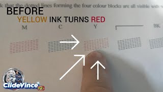 Brother Printer DCP T310 Printing Problem  yellow ink turns red Problem solve [upl. by Airdnala]