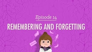 Remembering and Forgetting Crash Course Psychology 14 [upl. by Leroy]