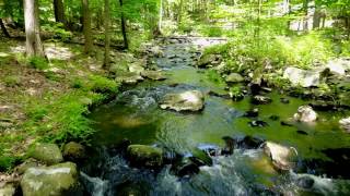 Tiorati Brook Harriman State Park NY in 4K [upl. by Shanney]