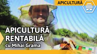 Miere de salcâm tratamente Varroa și apicultură rentabilă GRAMA MIHAI [upl. by Burdett]