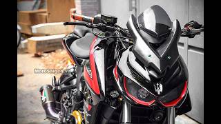 Best Modified Bajaj Pulsar NS 200 around the World [upl. by Rucker]