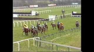 1988 Tote Cheltenham Gold Cup Chase [upl. by Mccreery]