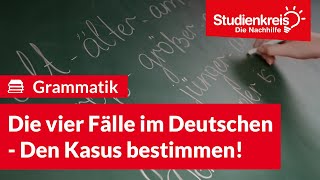 Die vier Fälle im Deutschen  Den Kasus bestimmen  Deutsch verstehen mit dem Studienkreis [upl. by Merc944]