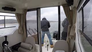 Quicksilver capture 555 pilothouse cabine view when fishing [upl. by Jenesia]