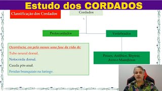 Introdução ao Estudo dos Cordados FILO CHORDATA Características dos cordados [upl. by Savick]