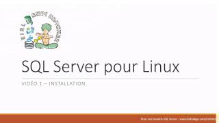 SQL Server sur Linux 01  Installation [upl. by Ecirad]