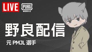 【PUBGモバイル】参加型～征服者への旅～ [upl. by Ltsyrk]