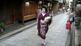 Stalking Geisha in Kyoto [upl. by Longwood172]