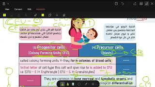 hematopoiesis part 1 main [upl. by Vitia]