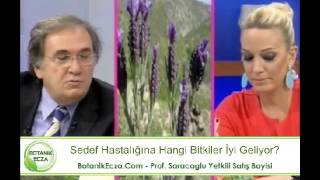 Prof İbrahim Adnan Saracoglu Sedef Hastalığına Karşı Kürler [upl. by Meijer766]