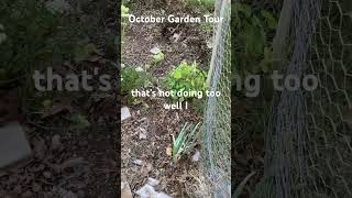 October Garden Tour garden hotBed vegetablegarden [upl. by Anyrb]