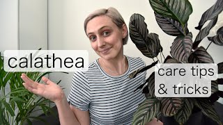 CALATHEA Plant Care Tips  Prayer Plant Care [upl. by Nylram]