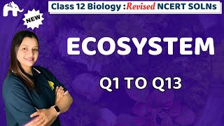 Ecosystem Class 12 Biology  Revised NCERT Solutions  Chapter 12 Biology Questions 111 [upl. by Claudette]