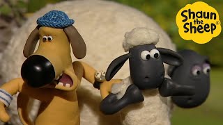 Shaun the Sheep 🐑 Funky Shaun  Cartoons for Kids 🐑 Full Episodes Compilation 1 hour [upl. by Bogusz]