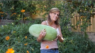 How To Grow Watermelon 7 The Reveal  You Will Not Believe This [upl. by Hertzog]