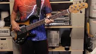 Emotions  The Best of My Love Bass Cover [upl. by Ilarrold]