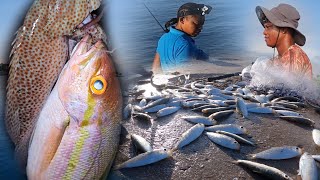 We Caught So Much Bait We Had To Share It  Nice Yellow Tail Snapper And Other Fishes Too [upl. by Onifur]