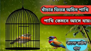 খাঁচার ভিতর অচিন পাখি বাউল গানkhachar vitar achin pakhi baul songtare dhorte parle mono bari baul [upl. by Alor]