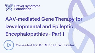 AAVmediated Gene Therapy for Developmental and Epileptic Encephalopathies  Part 1 [upl. by Hurlee]