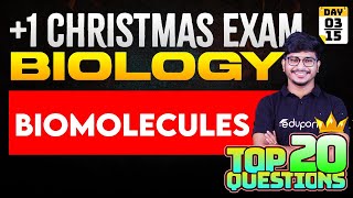 Plus One Christmas Exam  Biology  Biomolecules  Top 20 Questions  Full Chapter Revision [upl. by Los]