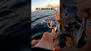 This Fish Almost SPOOLED Me shorts kayakfishing offshorefishing tuna hobielynx fish blackfin [upl. by Bergren]