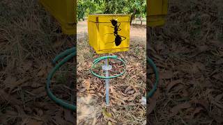 அட இது செம ஐடியாவா இருக்கே farming honey honeybee hive [upl. by Yruy]