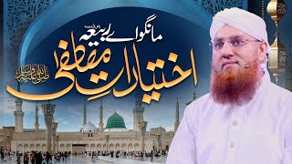 Aik Sahabi Ne Nabi e Pak Se Kia Maanga  Ikhtiyar e Mustafa  Rabi ul Awal Clip Abdul Habib Attari [upl. by Elberta]