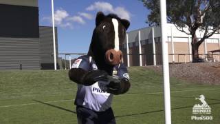 Brumby Jack wants to see you at the Game [upl. by Cirred]