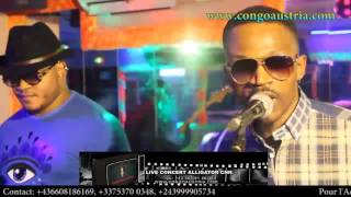 CNN ALLIGATOR amp BB KERO CONCERT LIVE  KOFFI OLOMIDE [upl. by Damien]