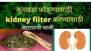 सराटा भाजीरानभाजीkidneyfilter kidneystonemutkhada marathi [upl. by Ayhtnic]