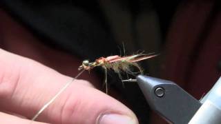 Fly Tying Lesson  Golden Stonefly Nymph Part 1 [upl. by Ettezil]