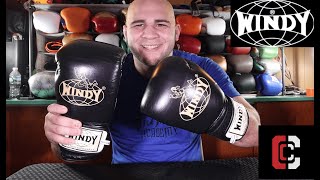 Windy Traditional Muay Thai Training Gloves Review REUPLOAD [upl. by Einnej429]