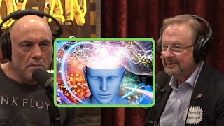 Joe Rogan amp Robert Epstein  DMT and Human Consciousness [upl. by Alitta]