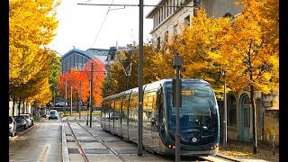 Le Tramway de Bordeaux en automne [upl. by Ahsenahs]