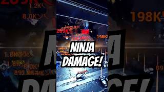 NINJA DAMAGE  Stealth Multipliers [upl. by Hamfurd]