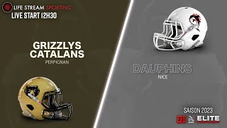 GRIZZLYS CATALANS  DAUPHINS DE NICE  LIVE [upl. by Angelis]