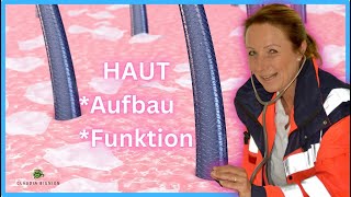 Die Haut Aufbau und Funktion [upl. by Mallin36]