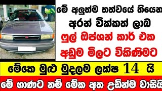 ලක්ෂ 14 ට අලුත්ම ෆුල් ඔප්ශන් කාර් එකක්  low price car for sale  Car for sale  low budget vehicle [upl. by Aicirtak]