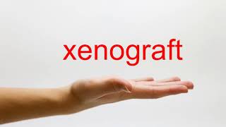 How to Pronounce xenograft  American English [upl. by Mccowyn179]