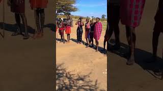 Maasai Nation 🔥🌹shortvideo short love funny dance culture [upl. by Nivrac]