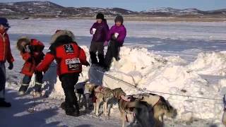 Aliy Zirkle in Unalakleet [upl. by Illom744]