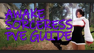 BDO  Awake Sorceress PVE Guide [upl. by Gauntlett]