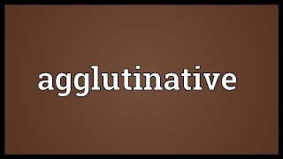 Agglutinative Meaning [upl. by Digirb826]