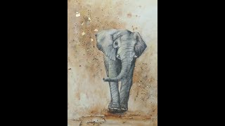 Elephant in Watercolour Demonstration [upl. by Mcclary]