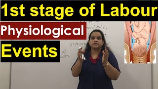 Events in the First stage of Labour  Physiology in 1st stage of Normal Labour  Nursing Lecture [upl. by Harifaz553]