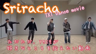 【⚠️ツボ動画】Sriracha♪TXT Dance movie ただただツボなポイントを伝えたい動画 [upl. by Nuawed866]