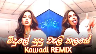 මිදුලේ සුදු වැලි තලයේ Kavadi dance remix  Midule sudu vali thalaye dj remix kavadi [upl. by Ainaj293]