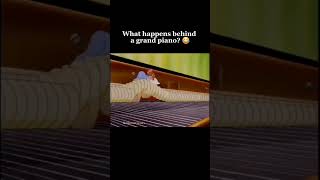 Whats happen behind a grand piano funny classicalpiano classicalmusic music pianomusic [upl. by Nehpets]