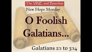 O Foolish GalatiansThe VINE and Branches [upl. by Llerrod931]